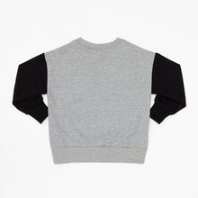 Load image into Gallery viewer, トレイントレーナーE956ALFA-X