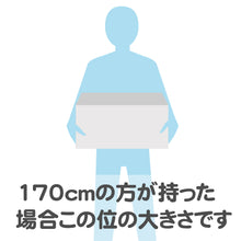 画像をギャラリービューアに読み込む, TOYOTA U55A形式コンテナ収納ボックス